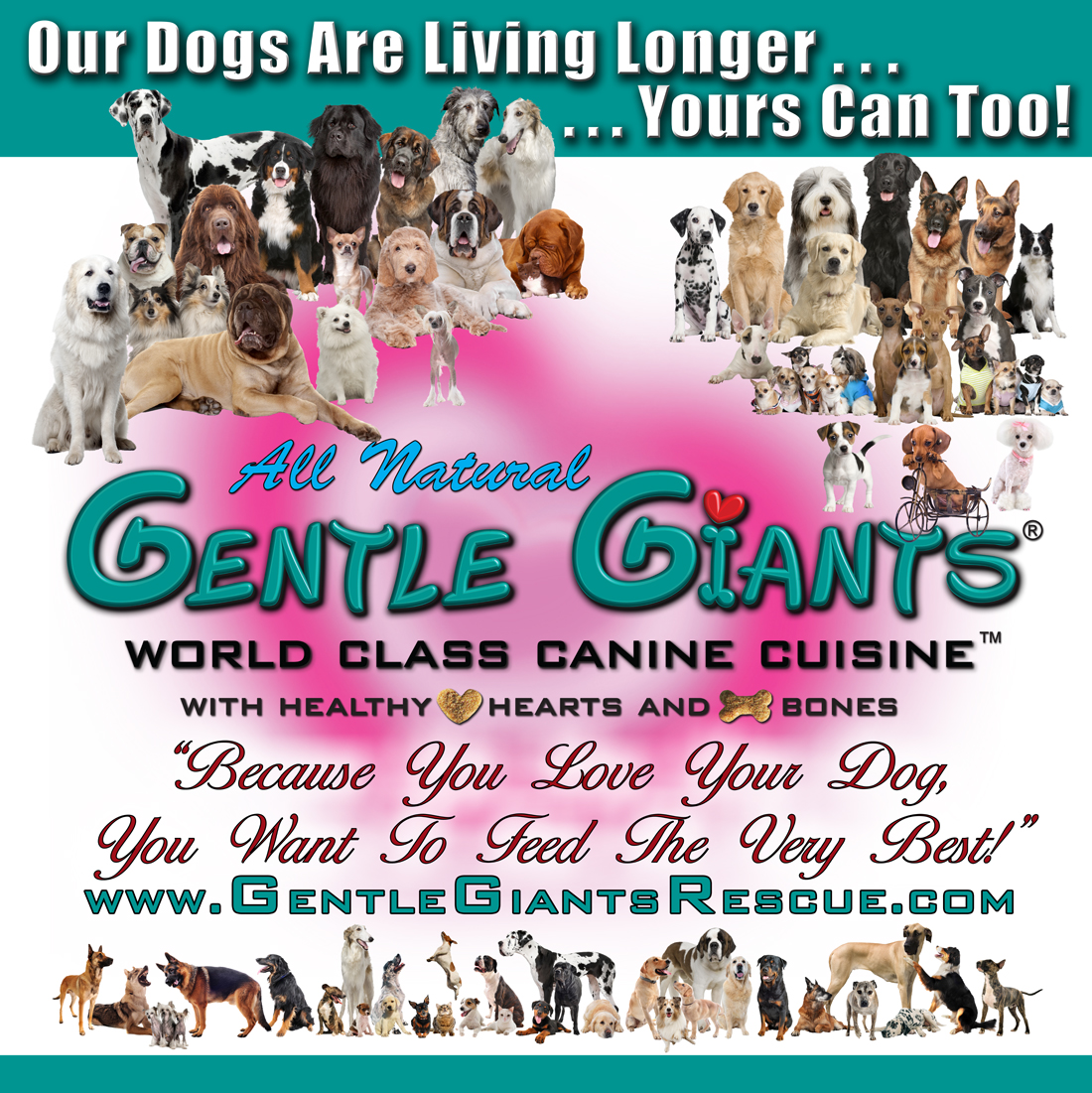 Gentle Giants Banner